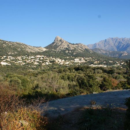 Belle Location Sur Lumio Avec Vue Remarquable Et Jardin Villa Bagian luar foto