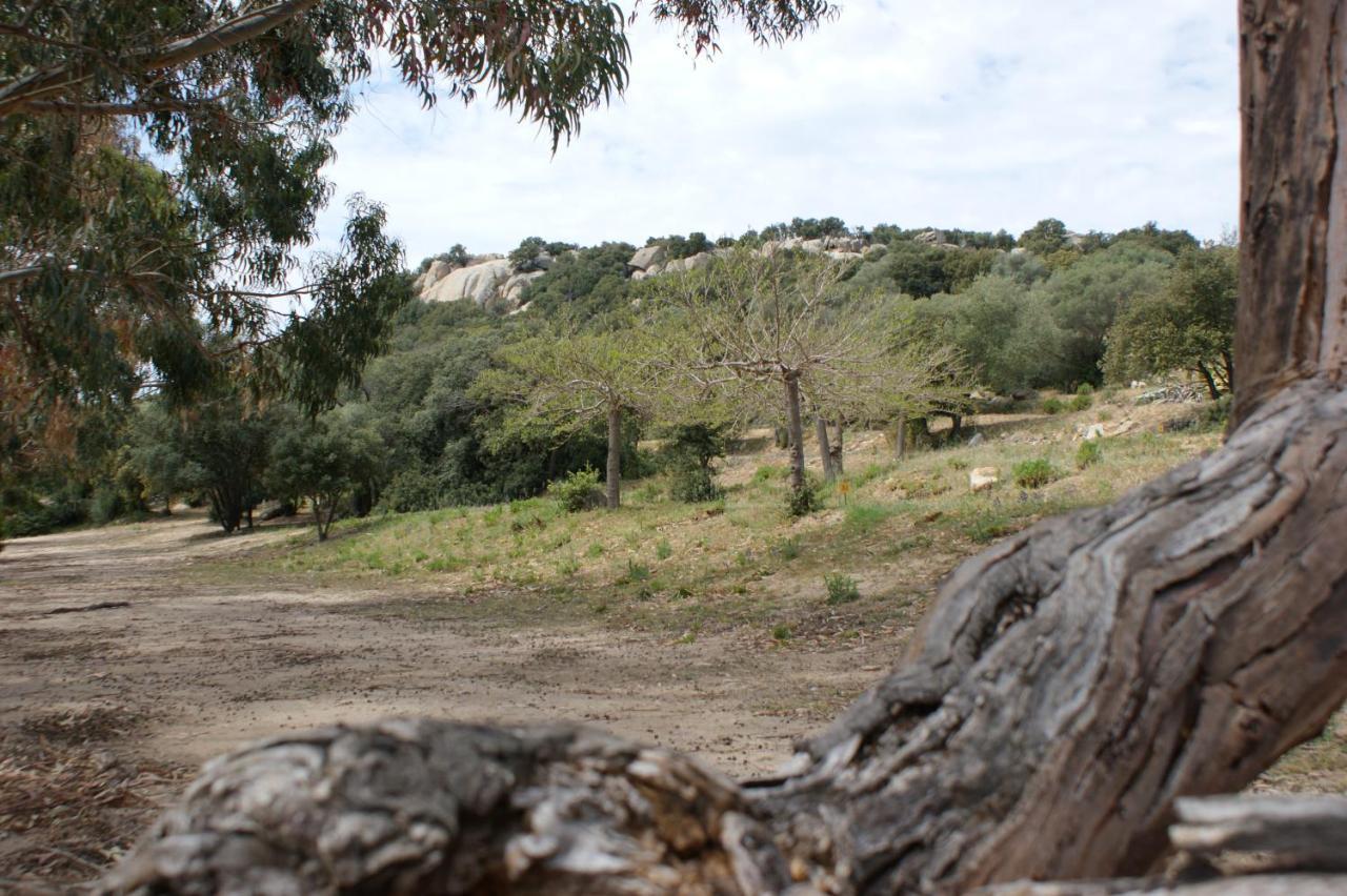 Belle Location Sur Lumio Avec Vue Remarquable Et Jardin Villa Bagian luar foto