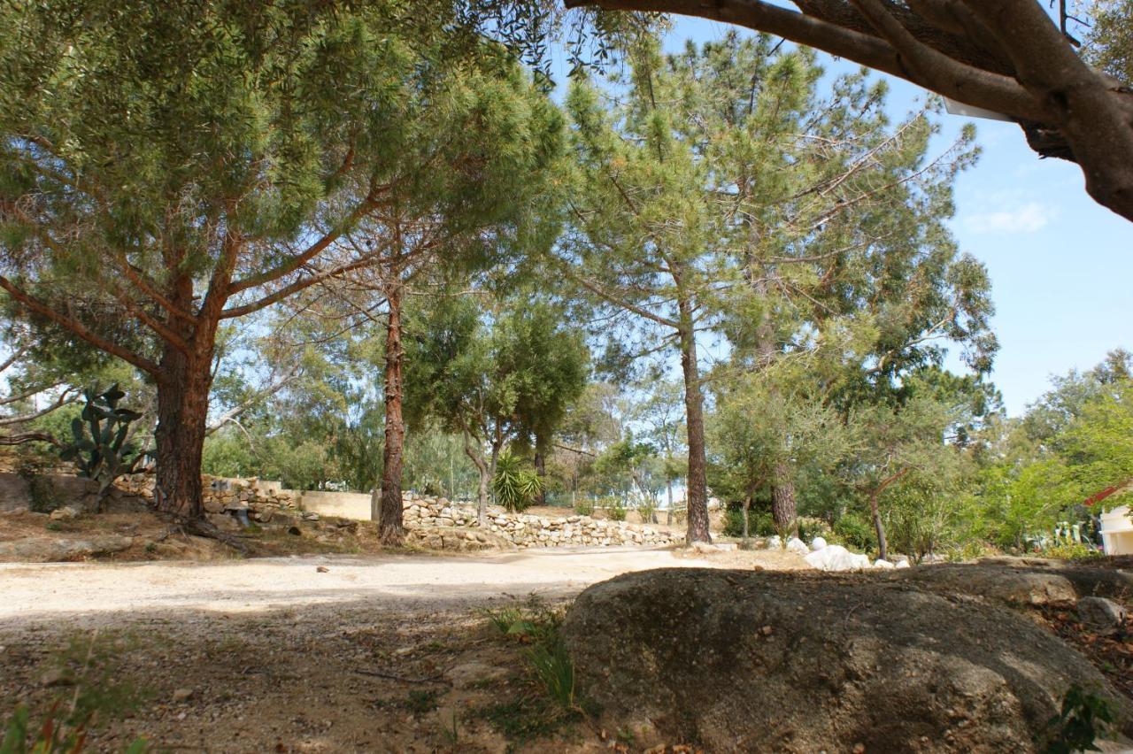 Belle Location Sur Lumio Avec Vue Remarquable Et Jardin Villa Bagian luar foto