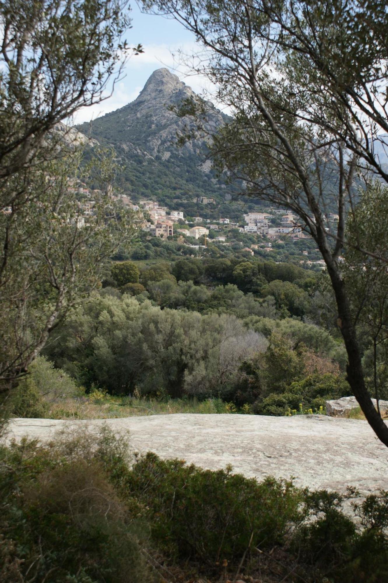 Belle Location Sur Lumio Avec Vue Remarquable Et Jardin Villa Bagian luar foto