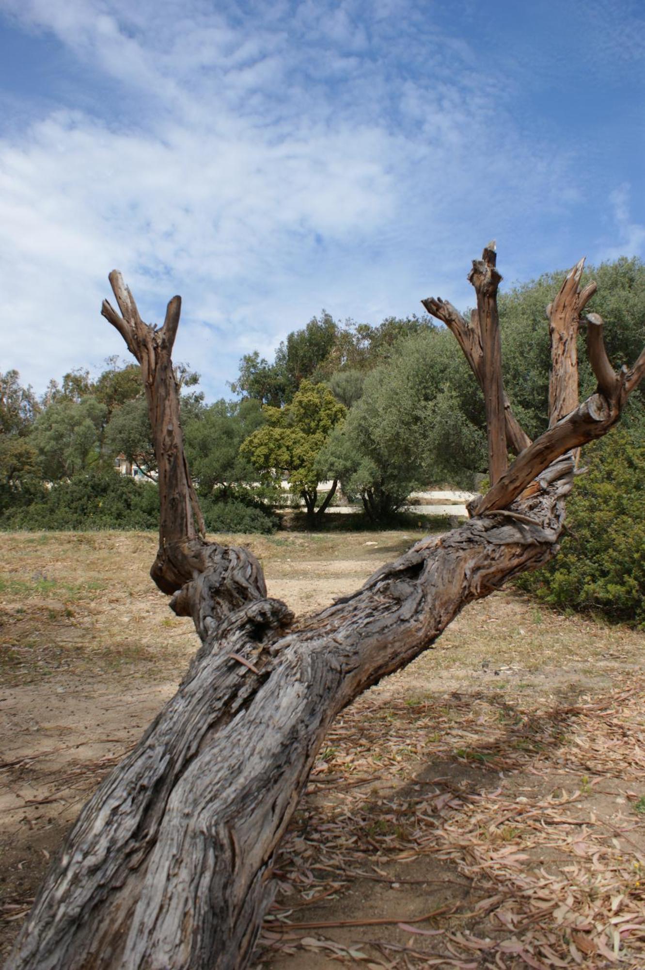 Belle Location Sur Lumio Avec Vue Remarquable Et Jardin Villa Bagian luar foto