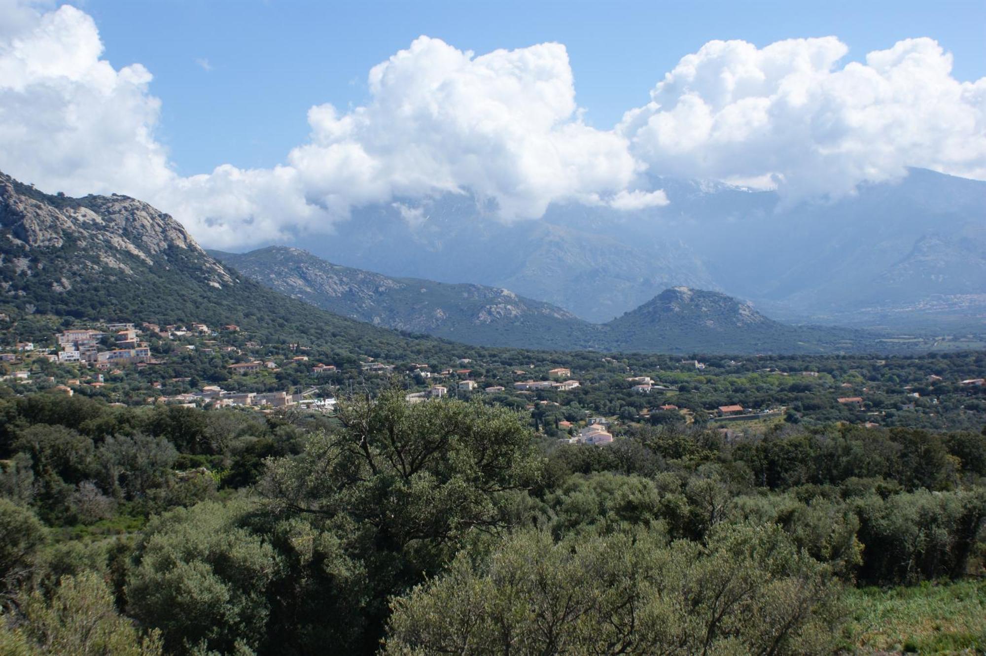 Belle Location Sur Lumio Avec Vue Remarquable Et Jardin Villa Bagian luar foto
